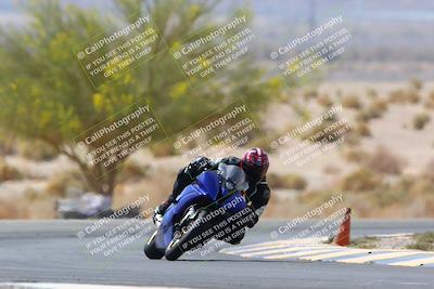 media/Apr-10-2022-SoCal Trackdays (Sun) [[f104b12566]]/Turn 5 Tree of Life (1040am)/